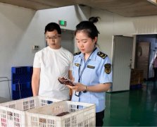 大渡口区人平易近